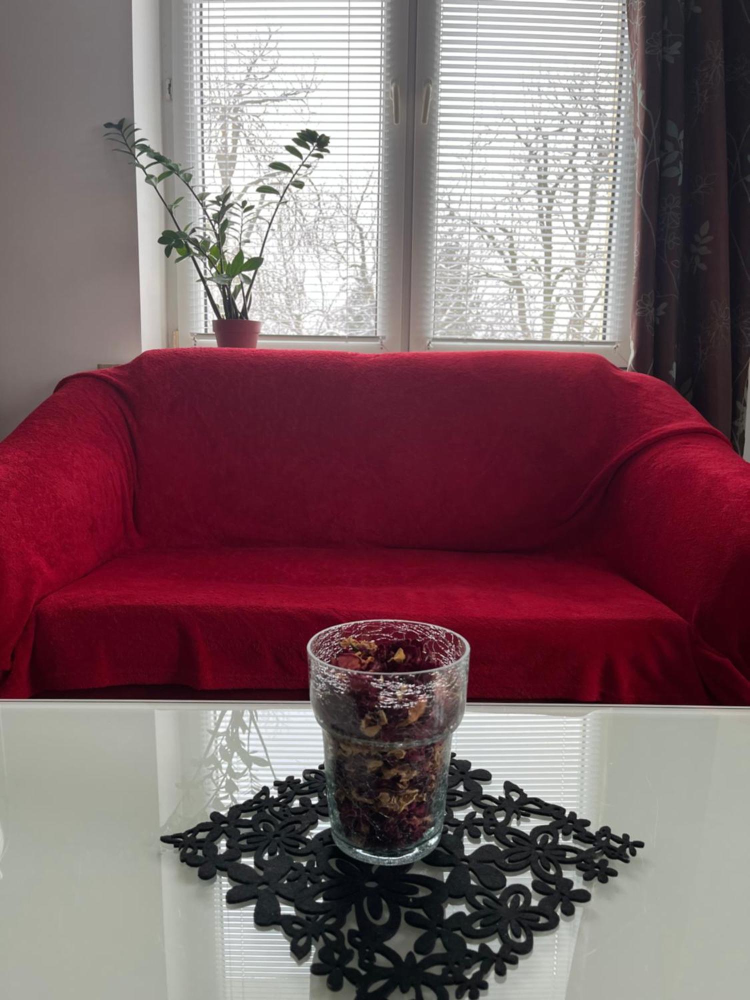 Apartament Przy Parku Czartoryskich - Faktury Vat - Parking Puławy 외부 사진